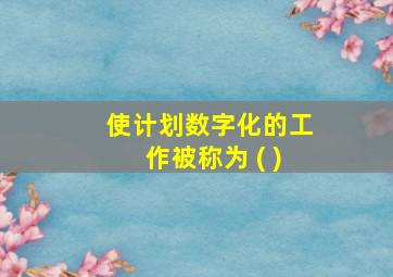 使计划数字化的工作被称为 ( )